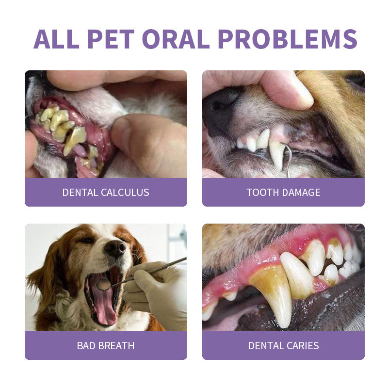 Pet Teeth Cleaning Pen