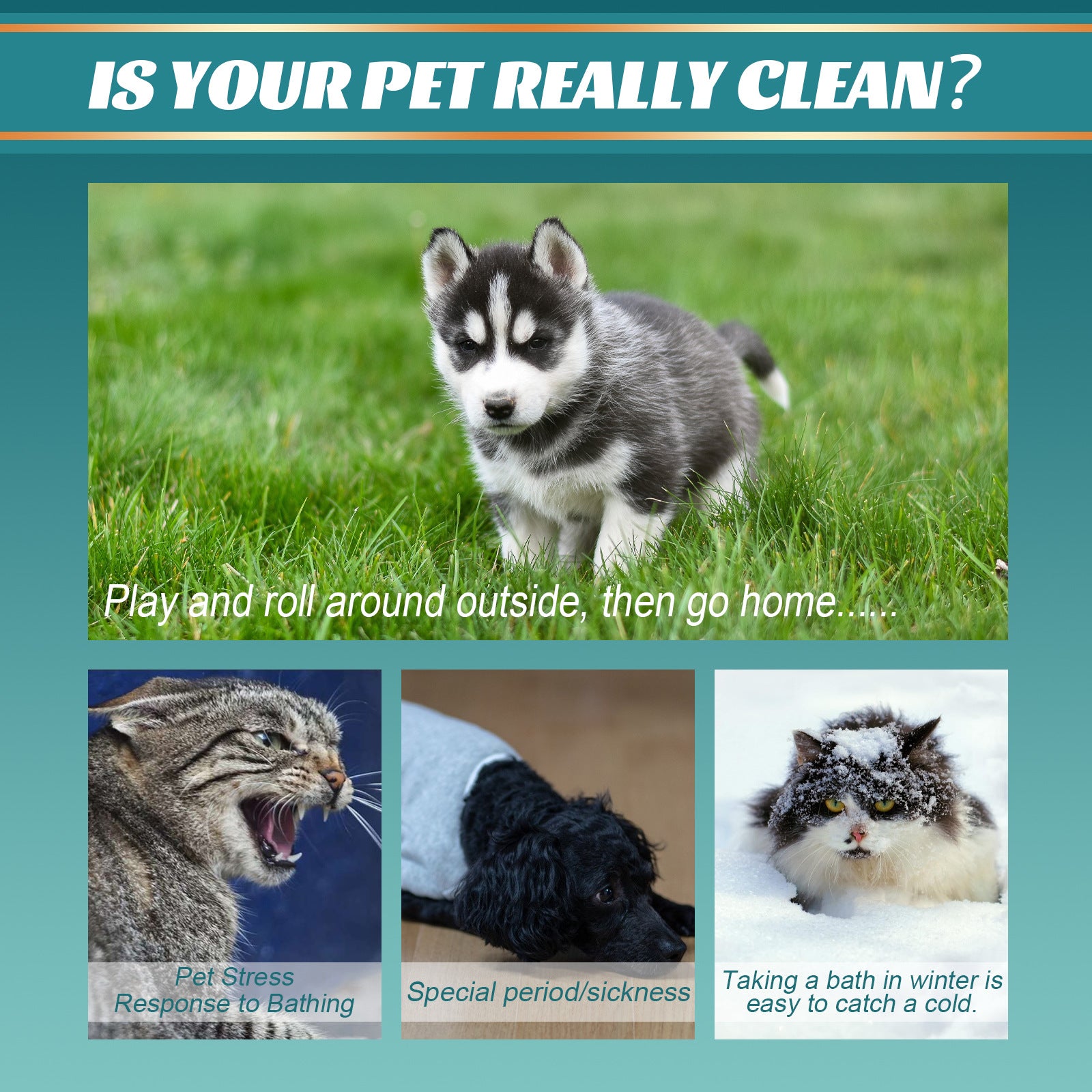 Pet Disposable Cleaning Gloves