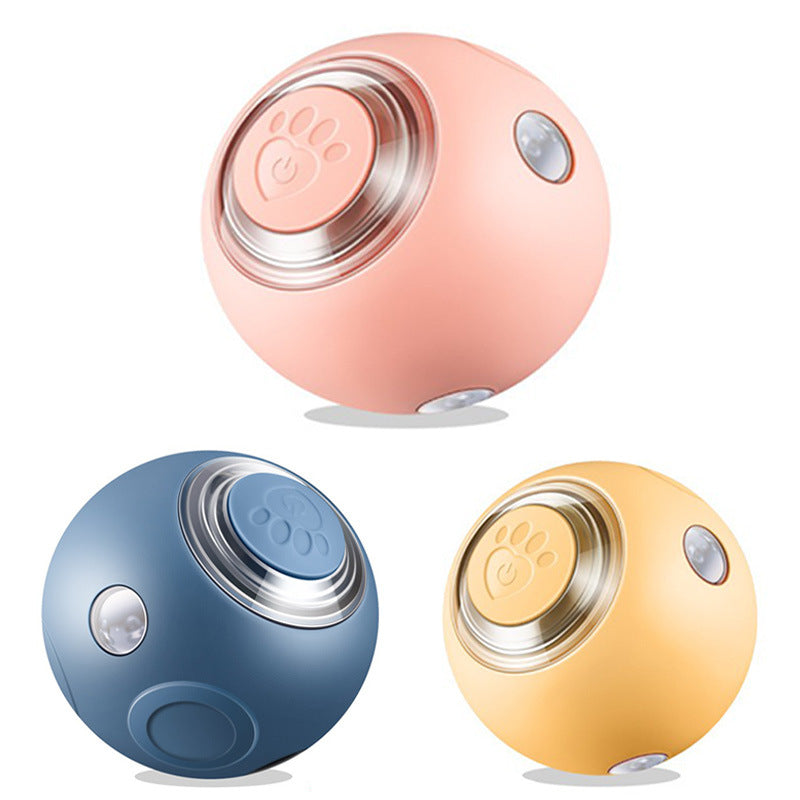 Smart Cat And Dog Pet Ball