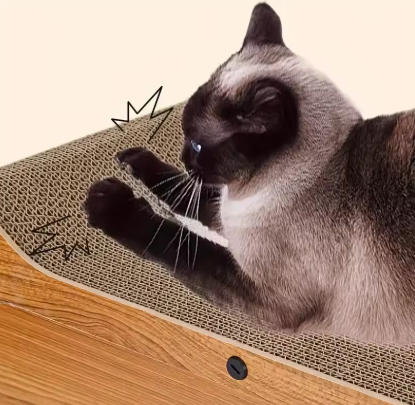 2-in-1 Cat Scratcher House