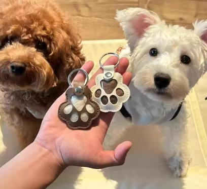 Pet Furr Memory Keychain