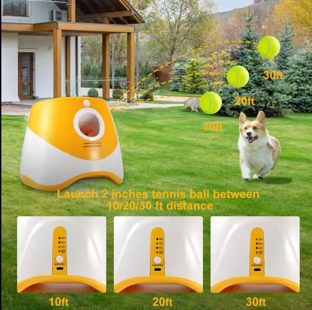 Pet Ball Throwing Machine