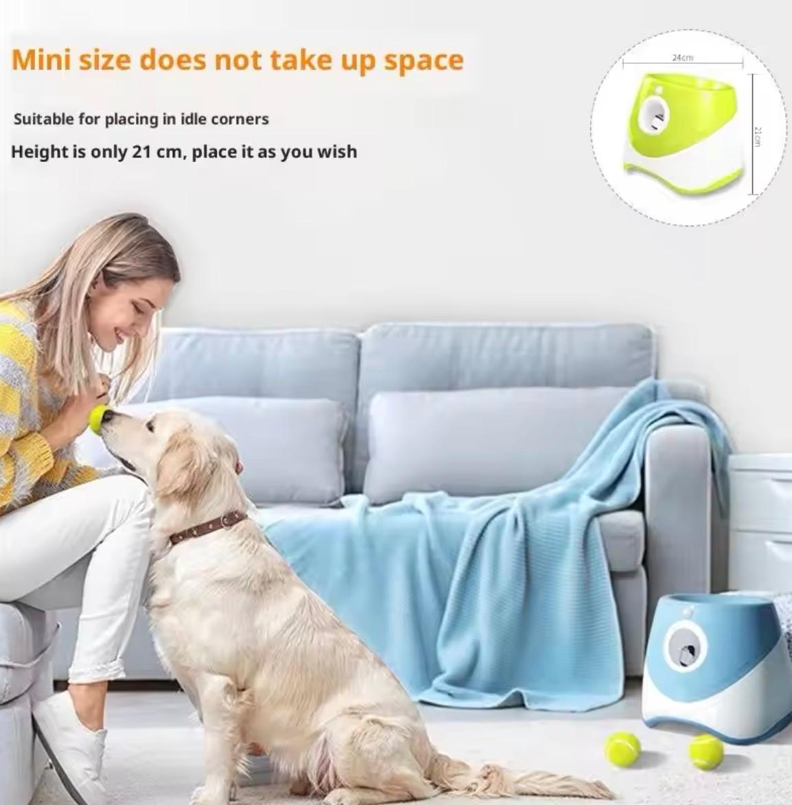 Pet Ball Throwing Machine