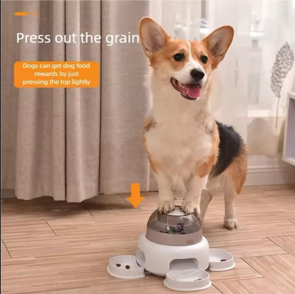 Dog Push-Button Feeder