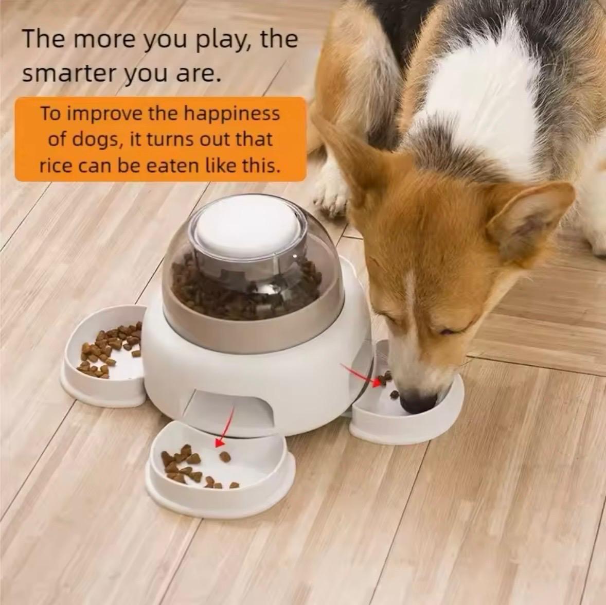 Dog Push-Button Feeder