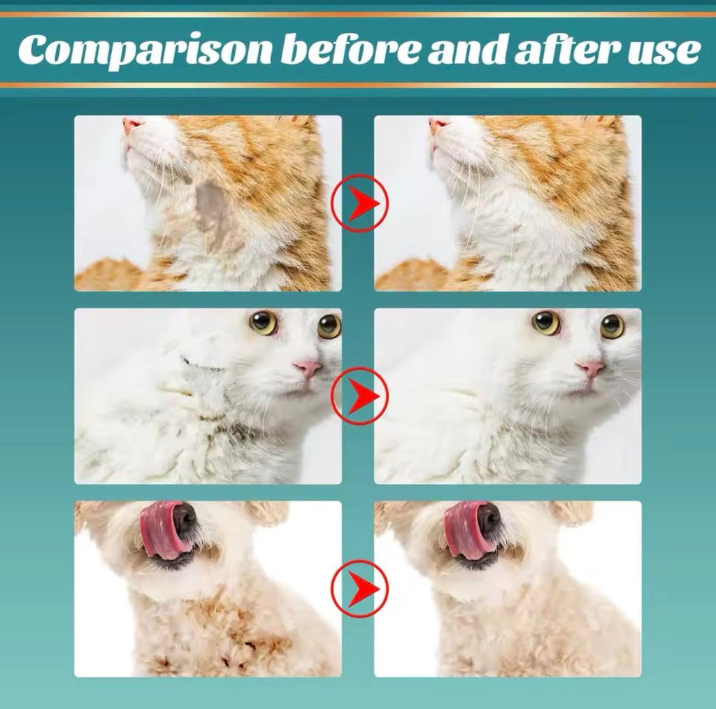 Pet Disposable Cleaning Gloves