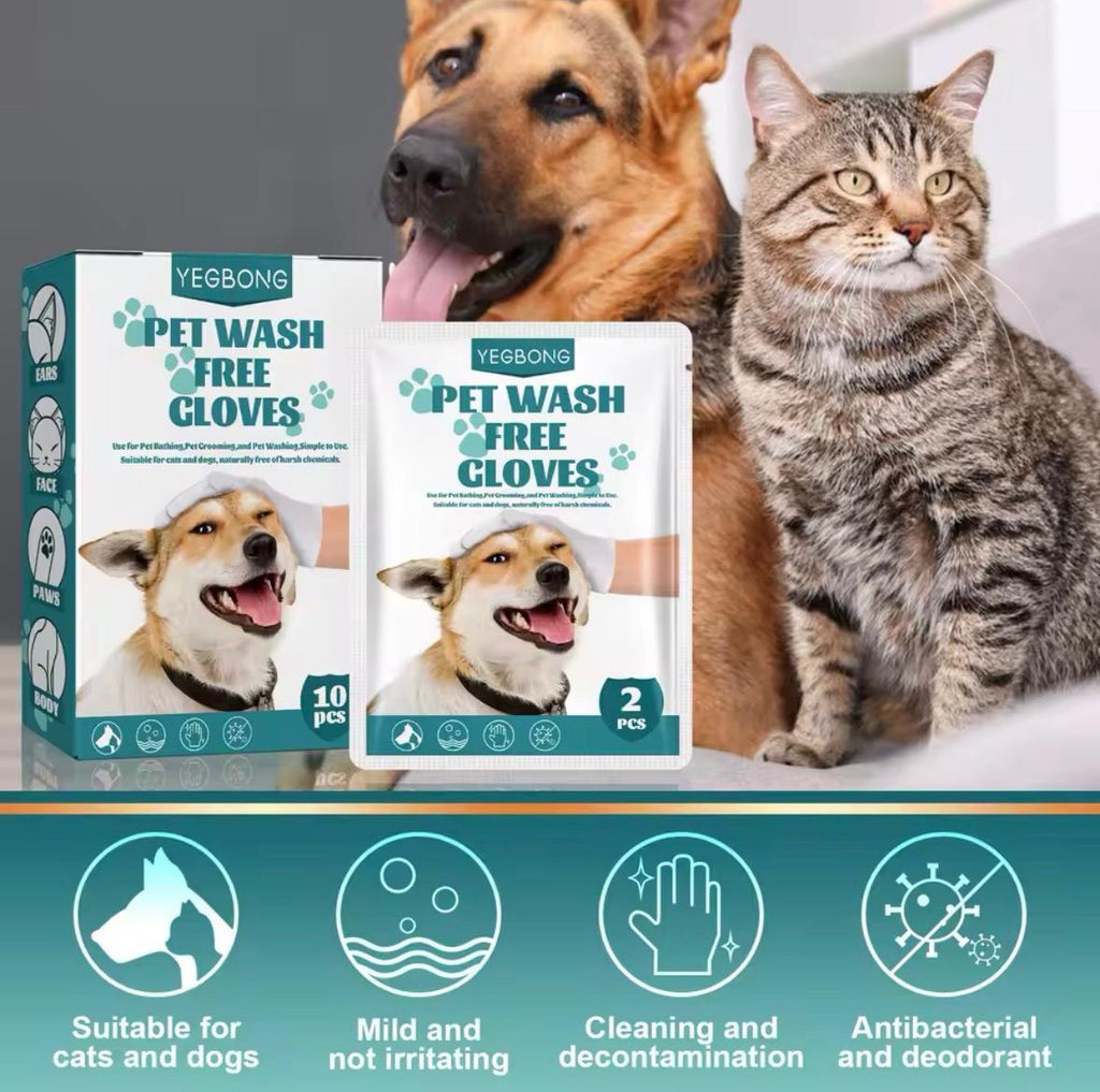 Pet Disposable Cleaning Gloves