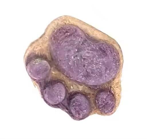 Cat snacks freeze-dried