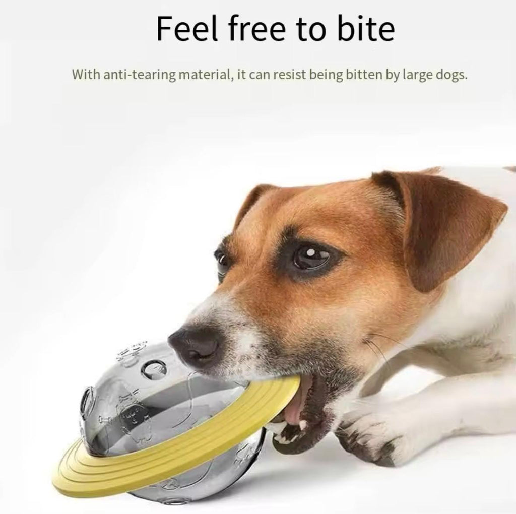 Dog Toys-Leaking Food Balls