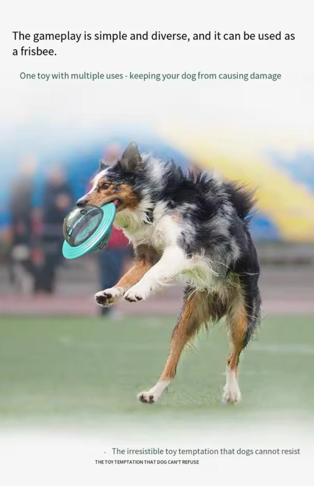 Dog Toys-Leaking Food Balls