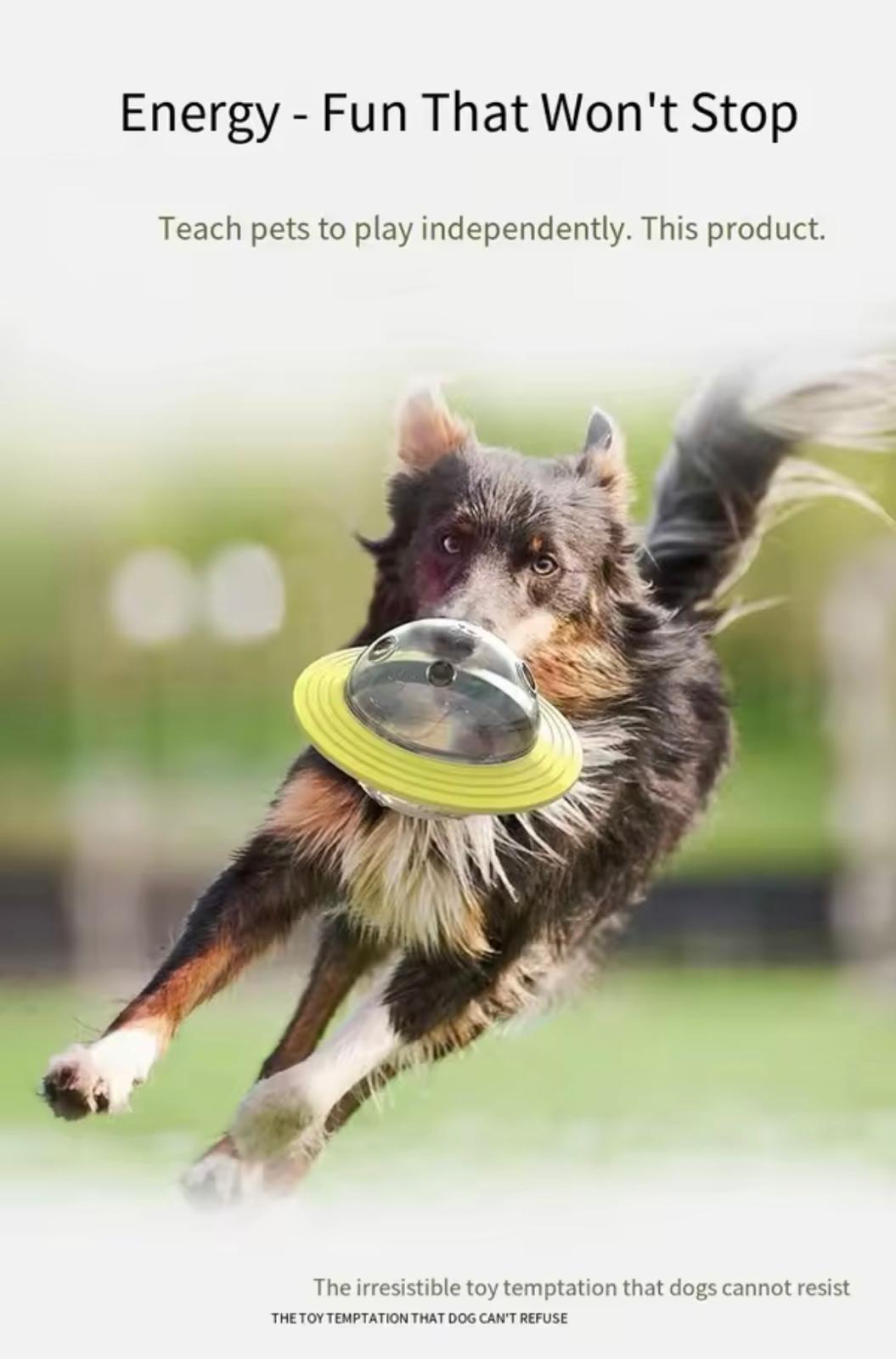 Dog Toys-Leaking Food Balls