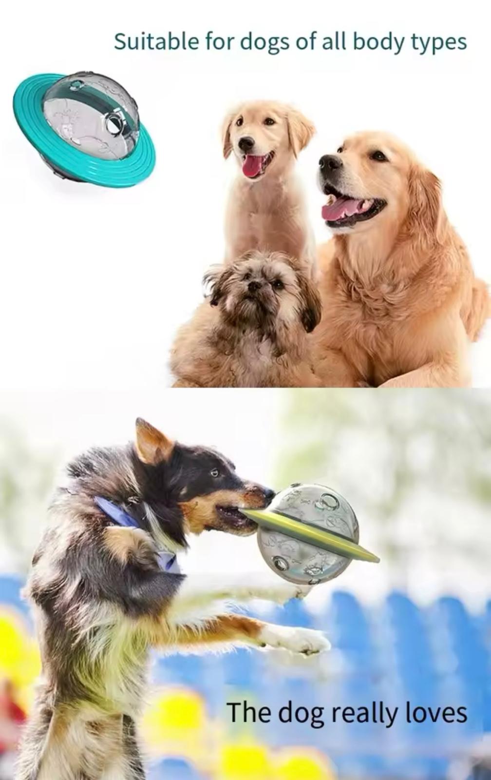 Dog Toys-Leaking Food Balls
