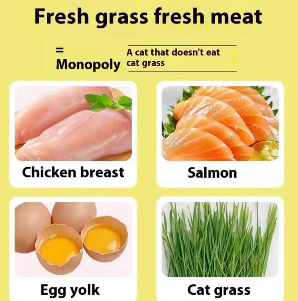 Cat Grass Chew Sticks