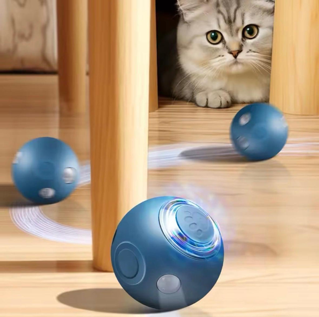 Smart Cat And Dog Pet Ball