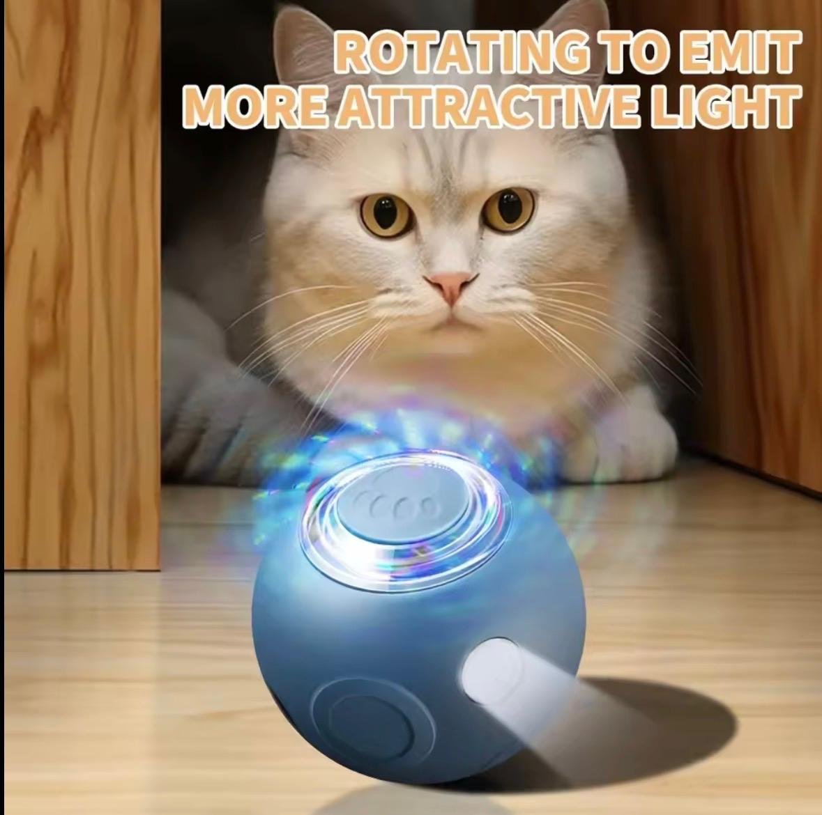 Smart Cat And Dog Pet Ball