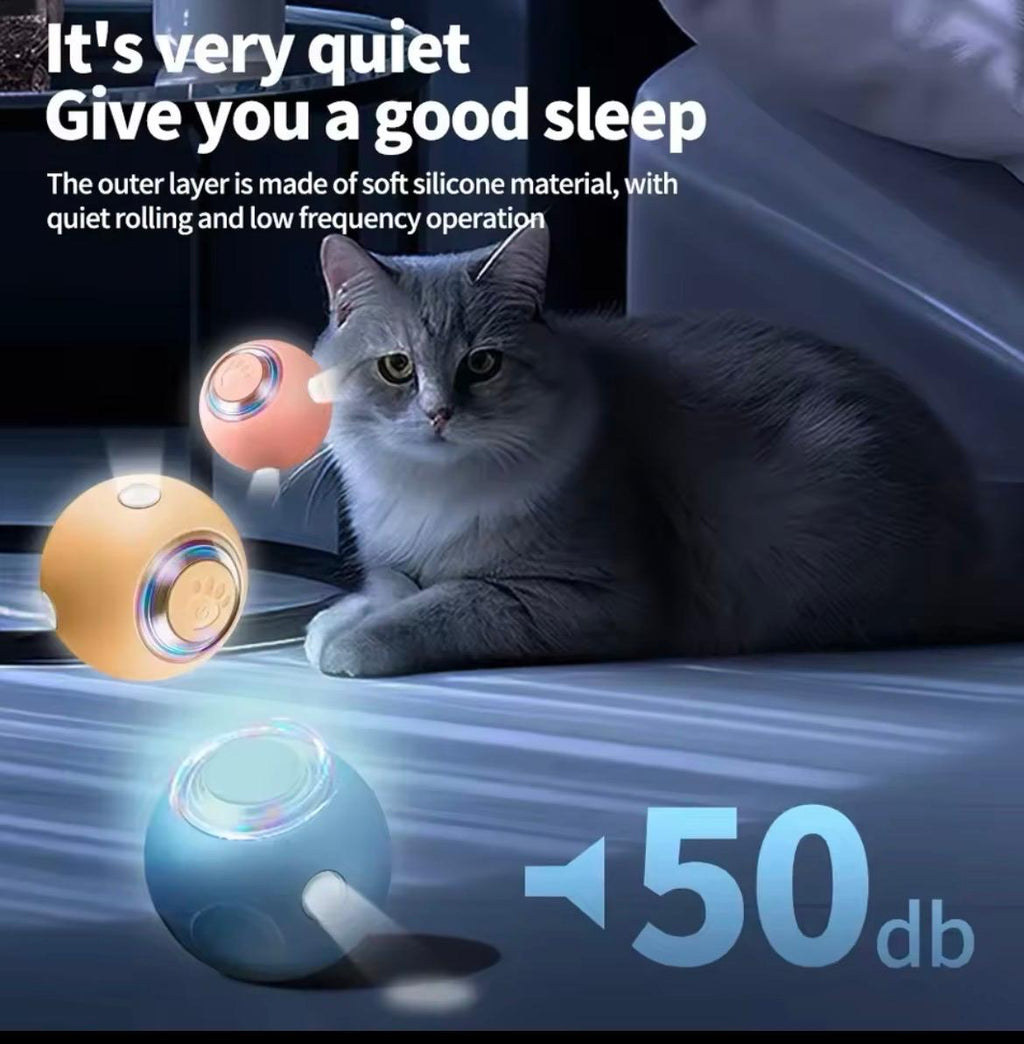 Smart Cat And Dog Pet Ball