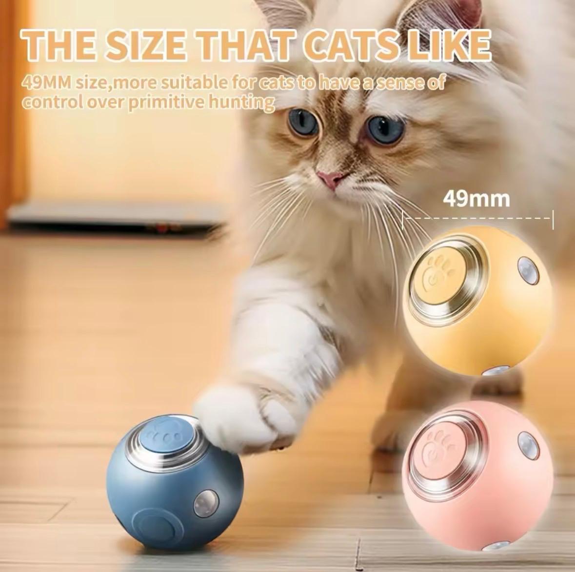 Smart Cat And Dog Pet Ball