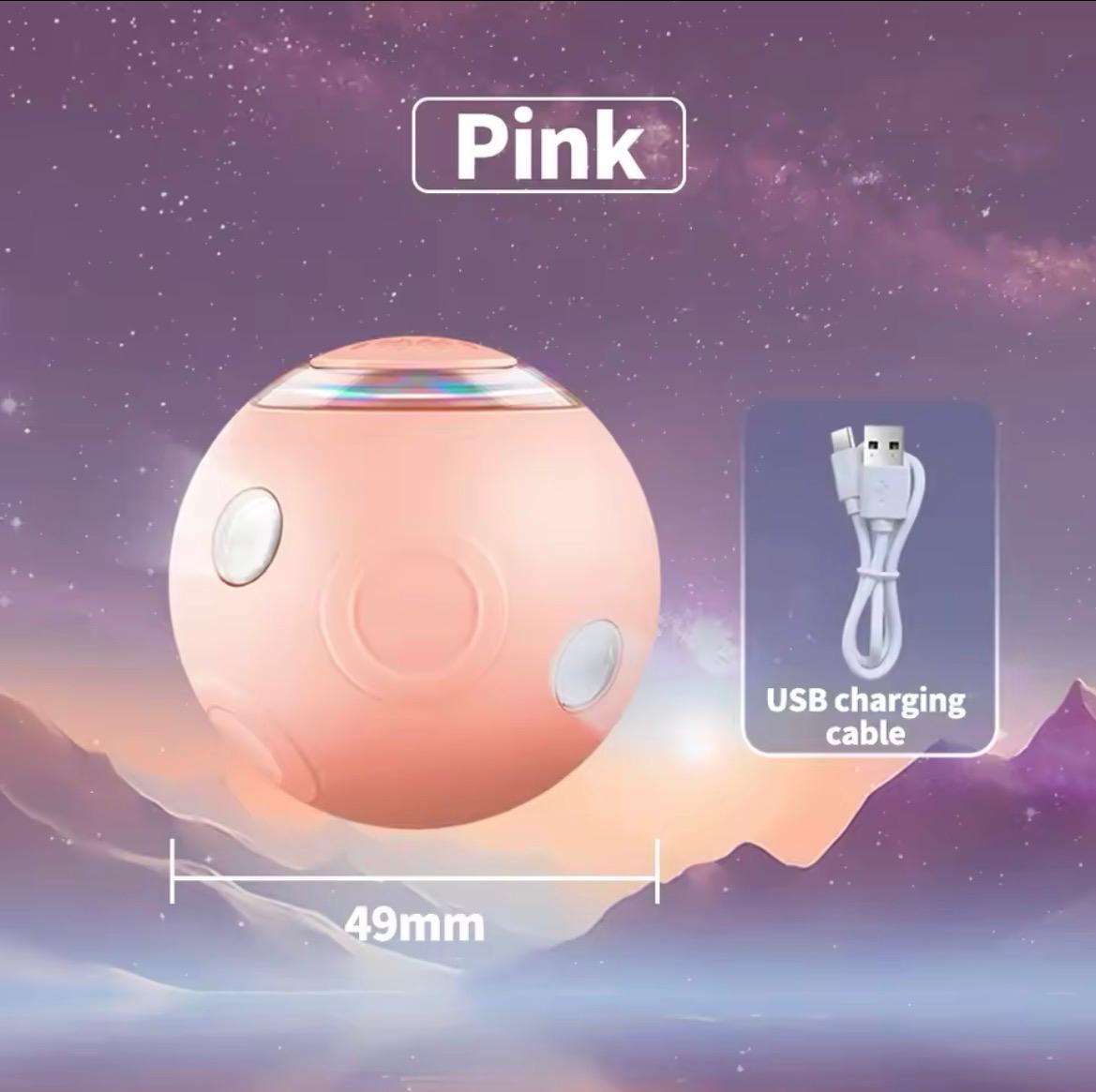 Smart Cat And Dog Pet Ball