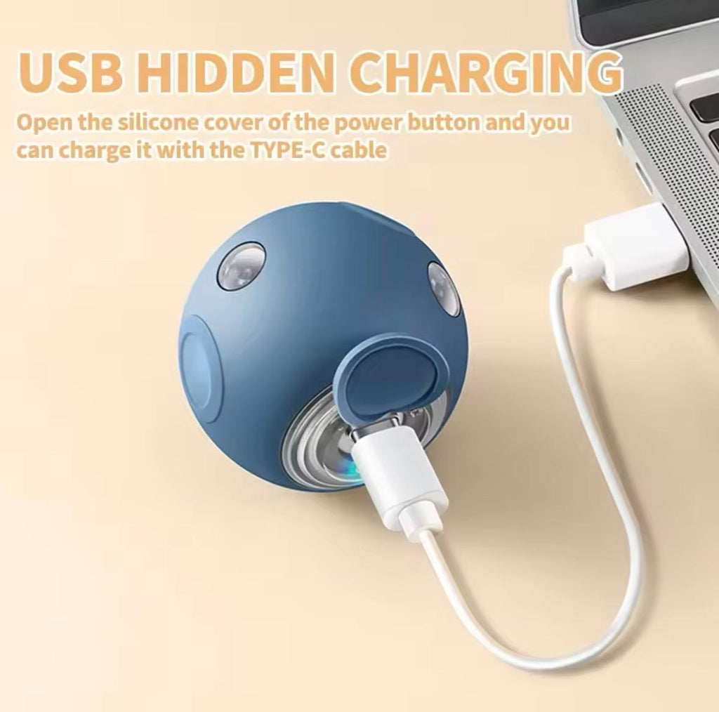 Smart Cat And Dog Pet Ball