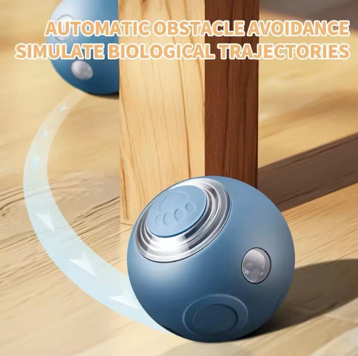 Smart Cat And Dog Pet Ball