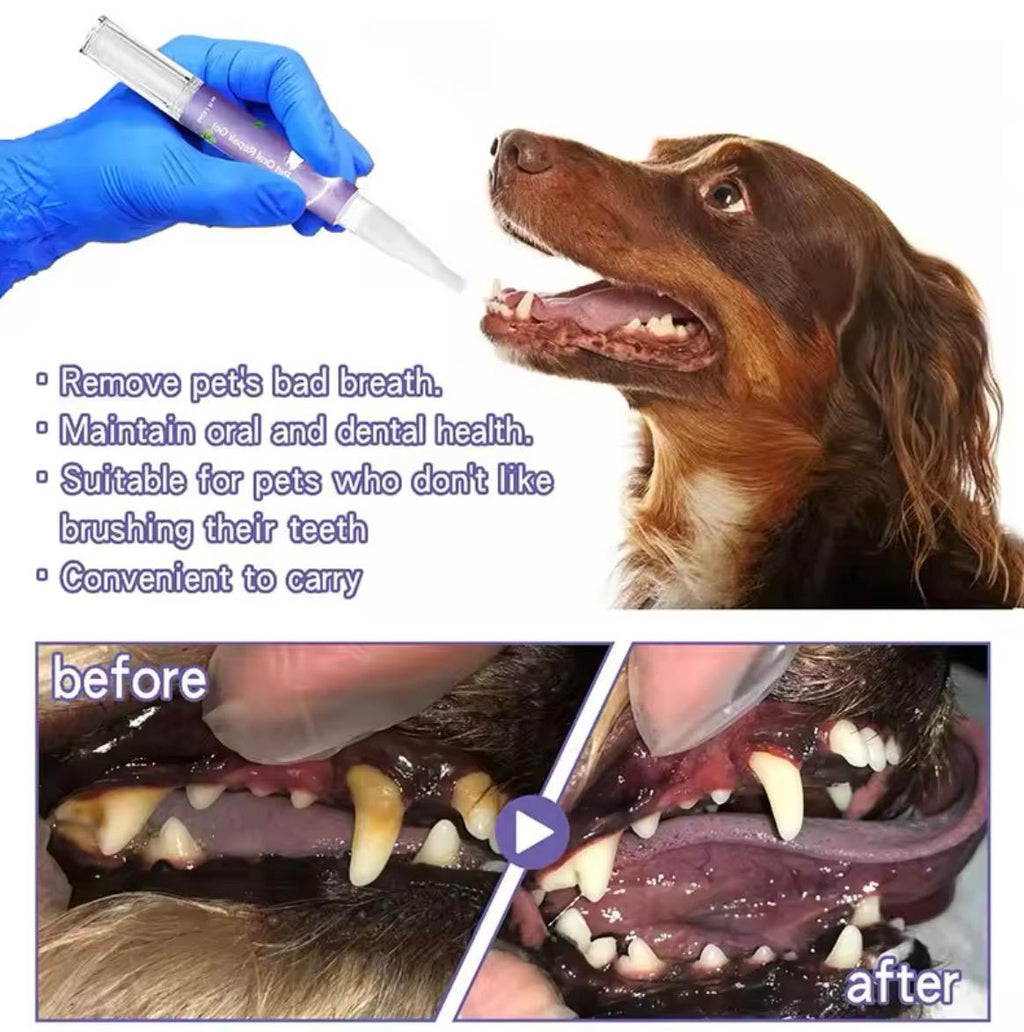Pet Teeth Cleaning Pen